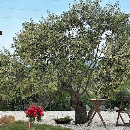 Kuca Za Odmor Zelini *